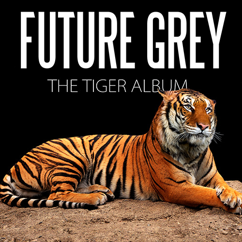futureGrey_TheTigerAlbum_cover01_v001small.jpg
